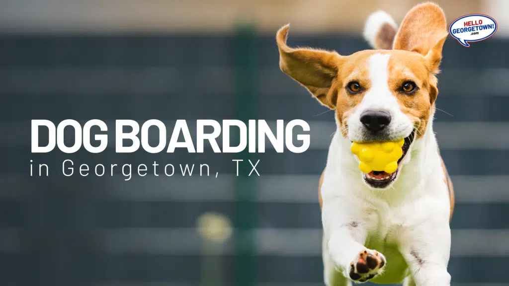 DOG BOARDING GEORGETOWN TX