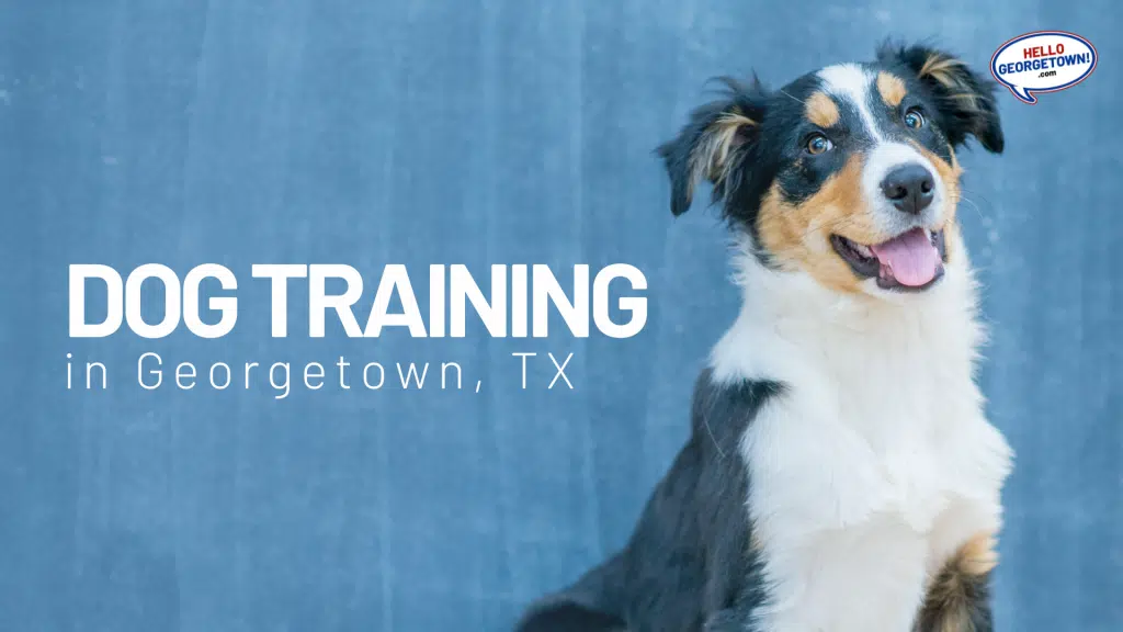 DOG TRAINING GEORGETOWN TX