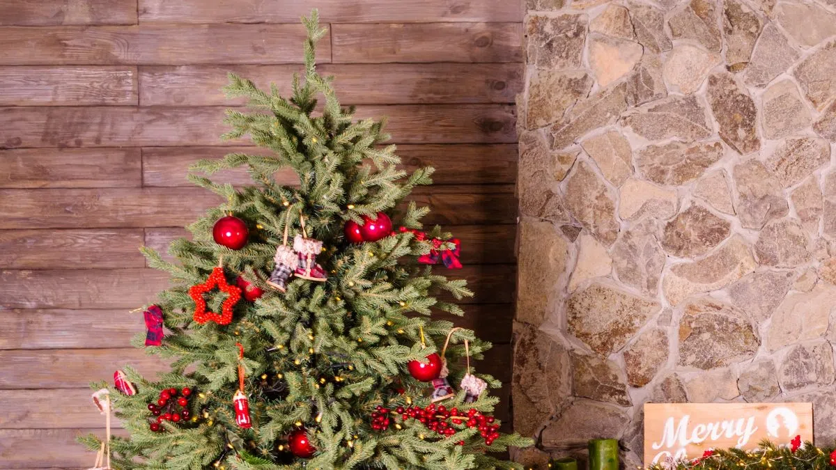 Yesterday Was the “Best” Day to Put Up Your Christmas Tree 94.1 The