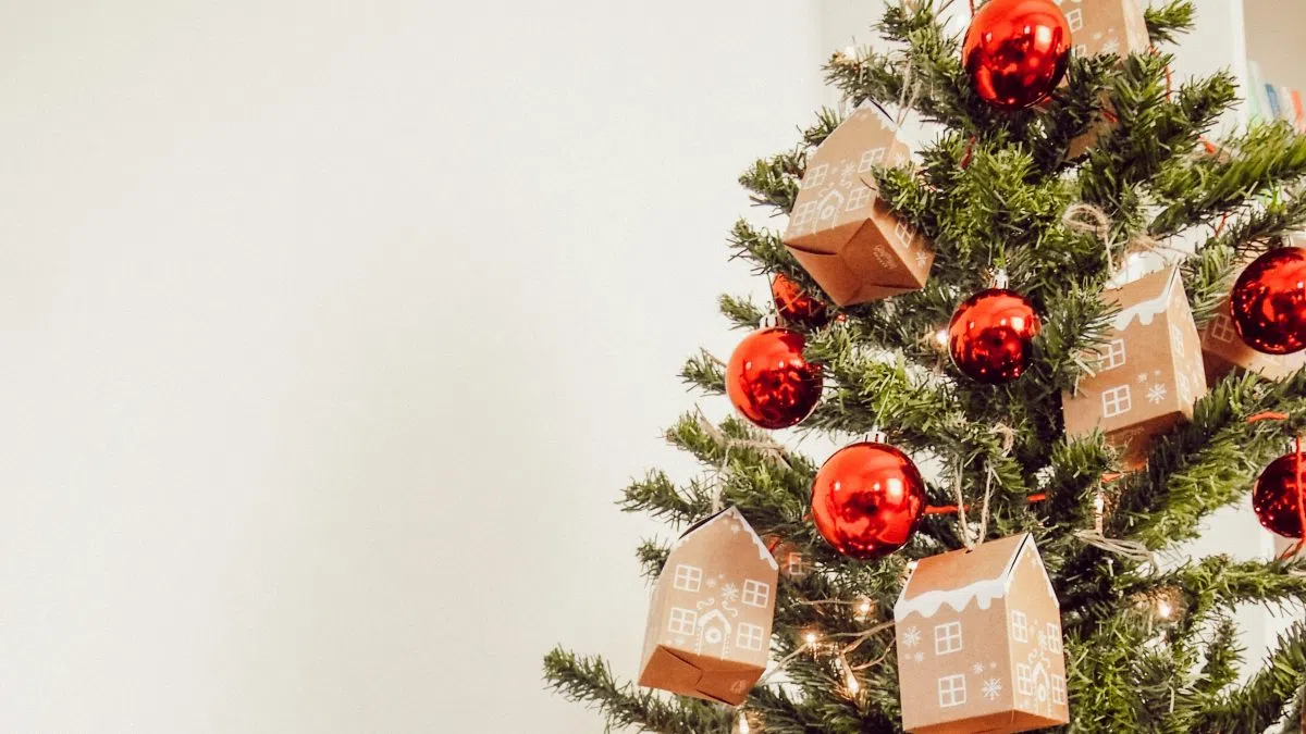 What’s Better for the Environment A Real Christmas Tree or a Fake One? 93.5