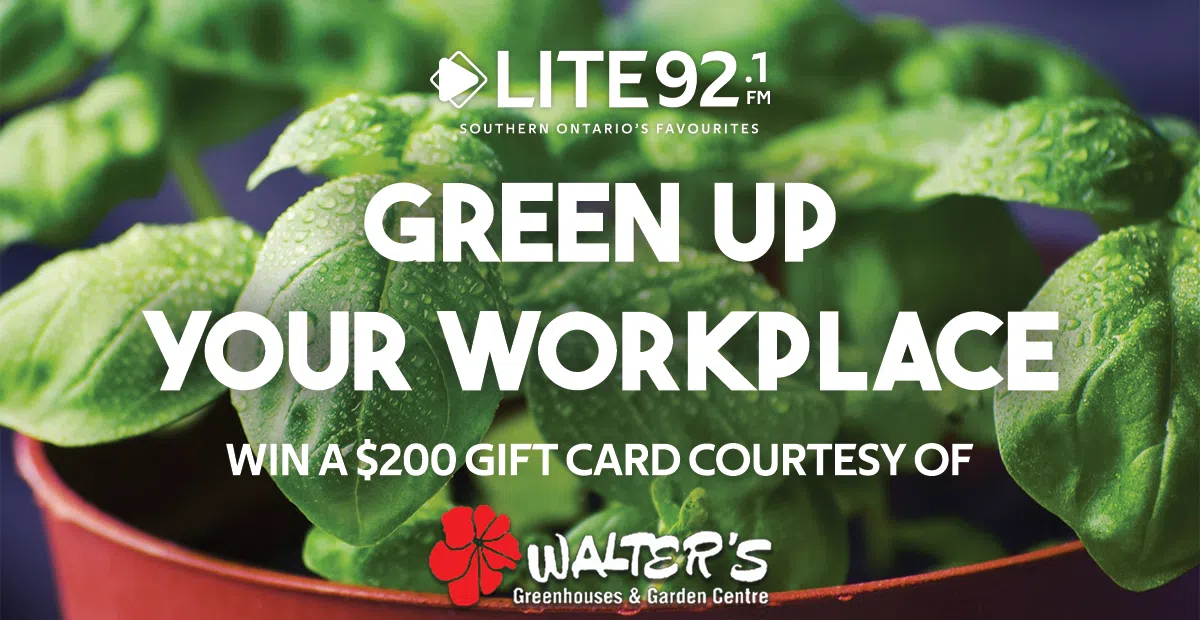 Feature: https://lite92.ca/win/green-up-your-workplace-2/