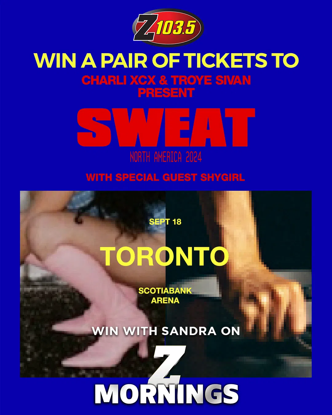 Feature: https://z1035.com/win/win-tickets-to-see-charlie-xcx-troye-sivan/