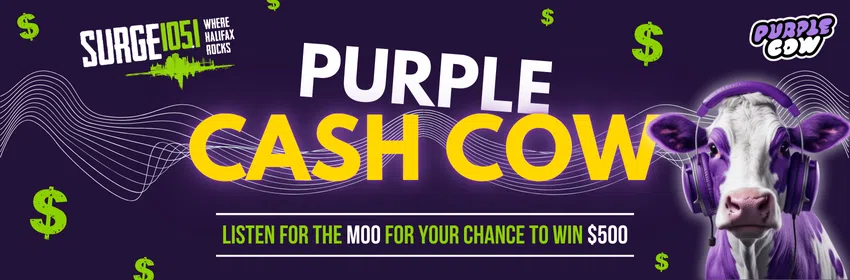 Purple Cash Cow