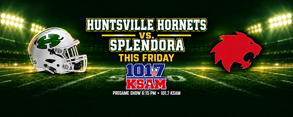 Feature: https://www.hornetnation.info/
