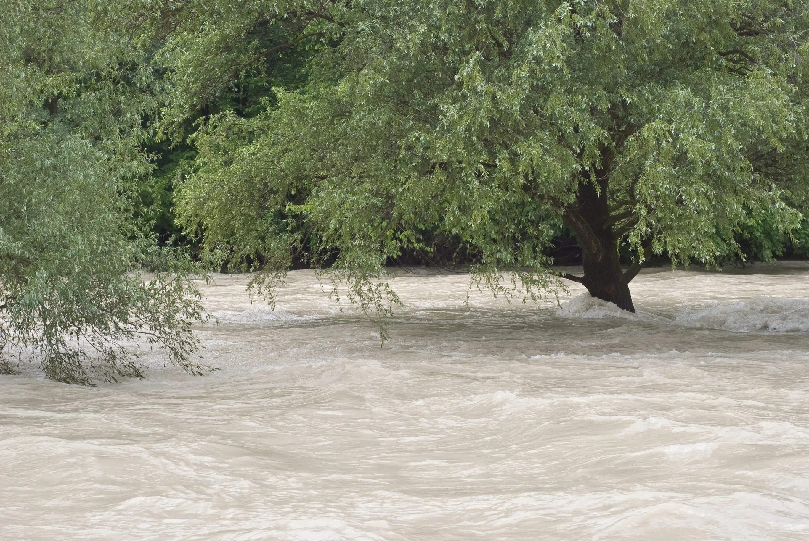 Draft flood maps for Rocky Mountain House area