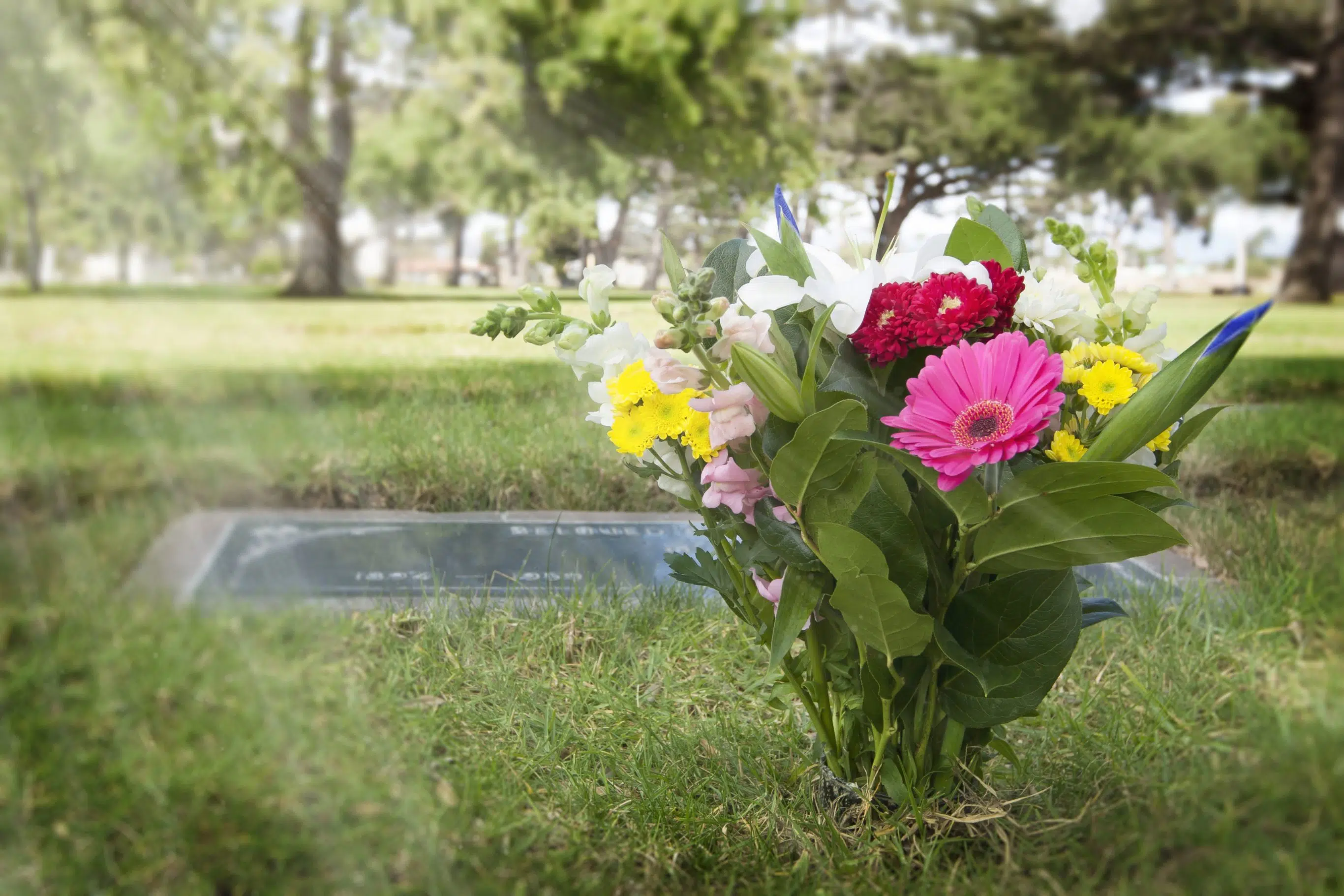 New cemetery coming to Nordegg