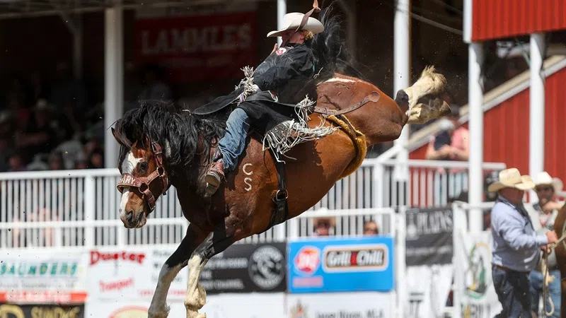 Pro Rodeo Canada: Highlights from Sundre Pro Rodeo