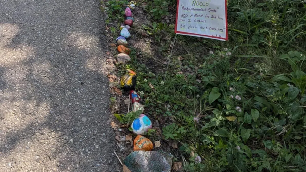 Rocco the rock snake grows on Rocky Mountain House trail | 94.5 Rewind ...