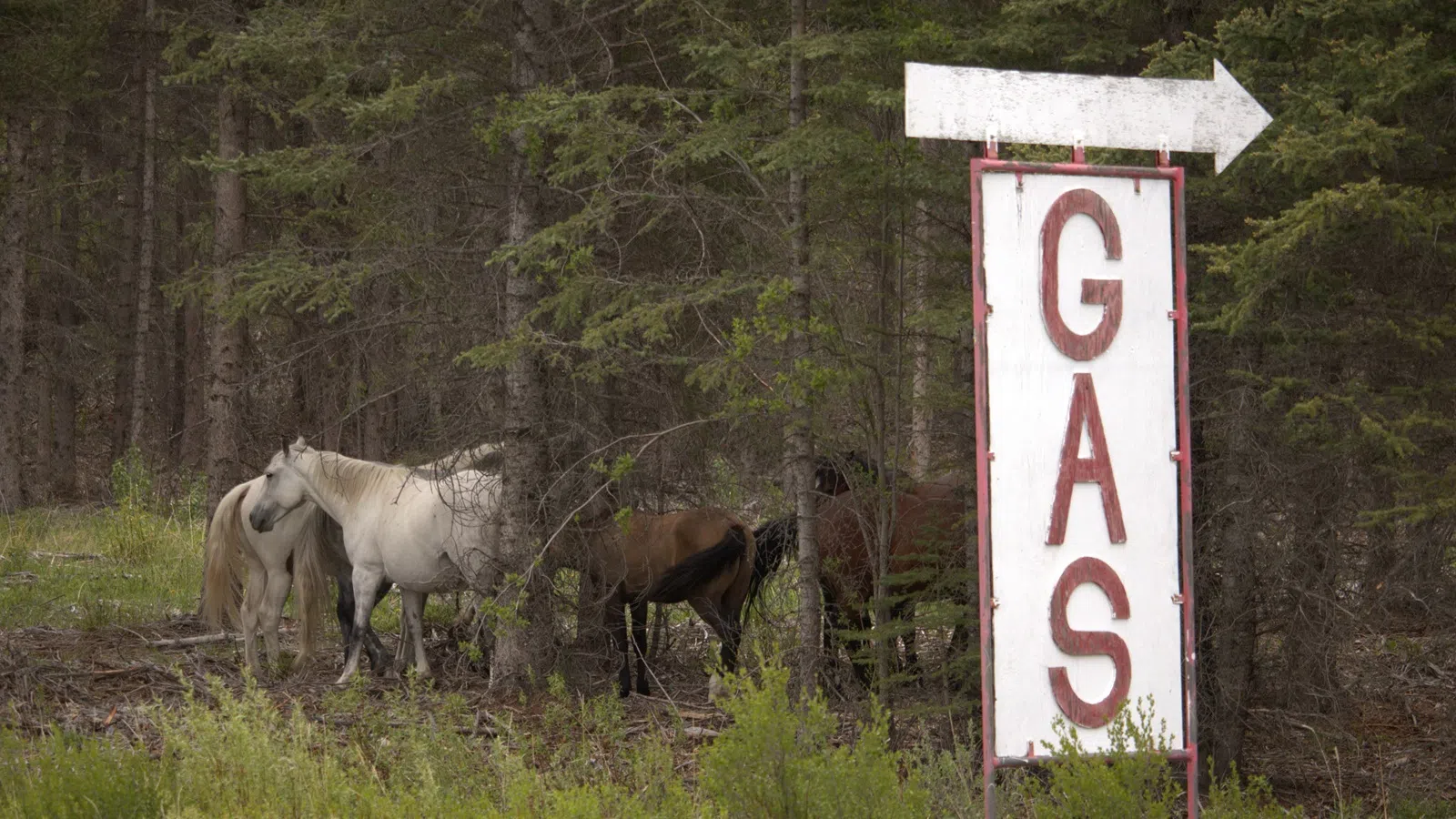 Clearwater County relaxes conditions on $2.7M grant for Nordegg Gasification