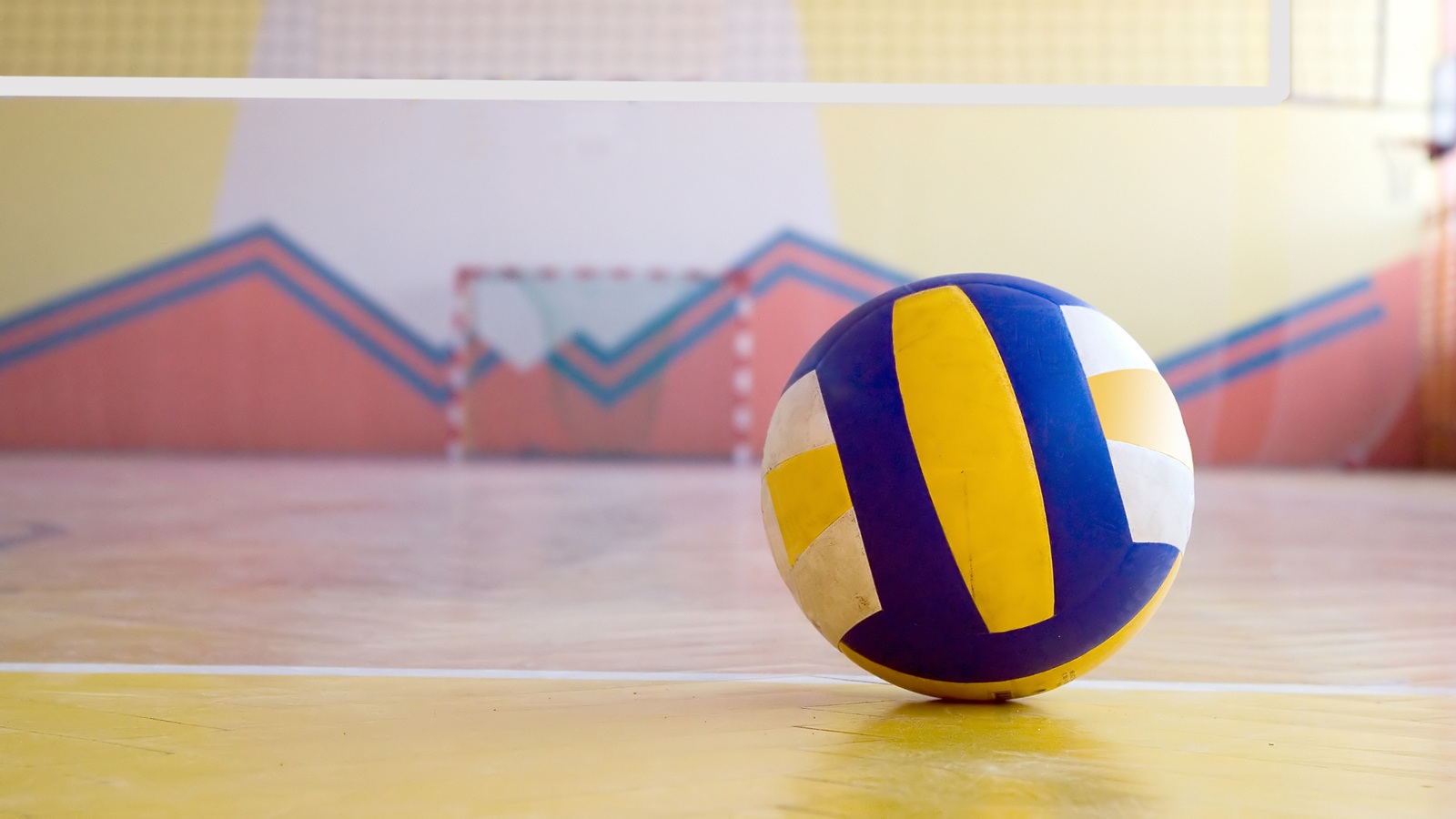 Rocky Wildcards launch new adult co-ed volleyball league