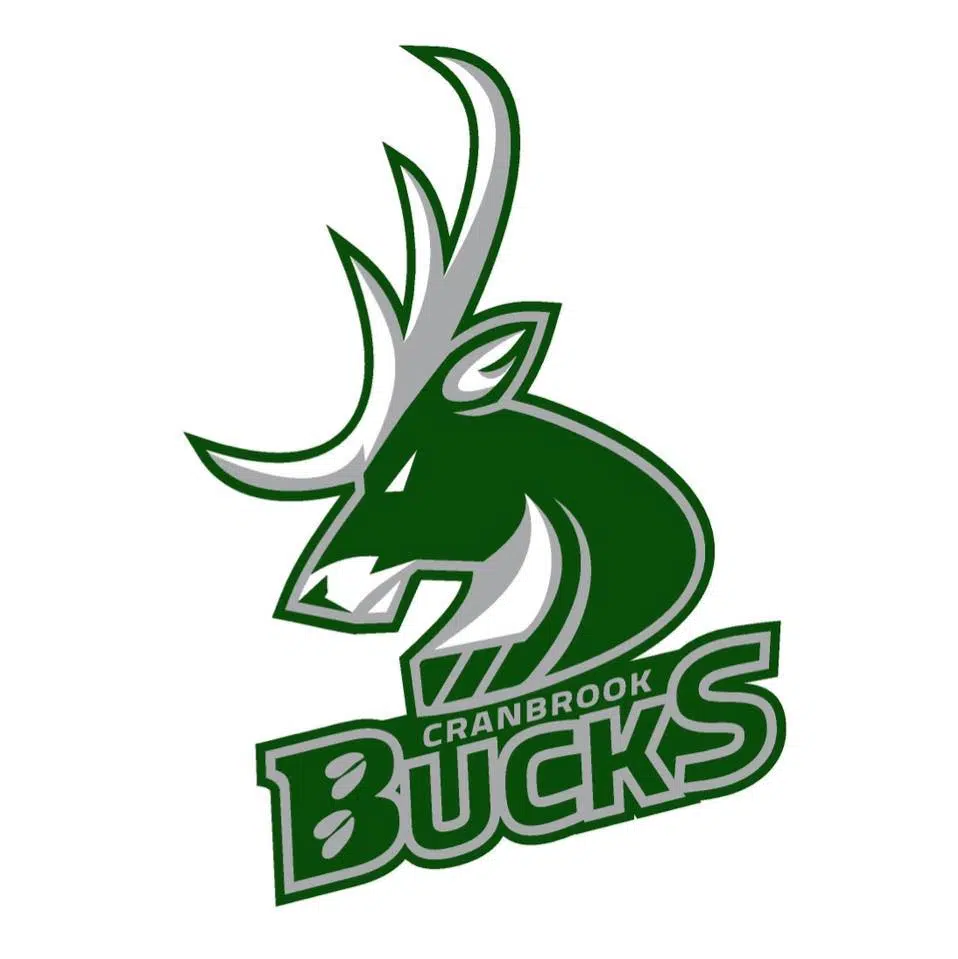 Bucks clinch playoff spot following wins vs Spruce Kings, Vipers