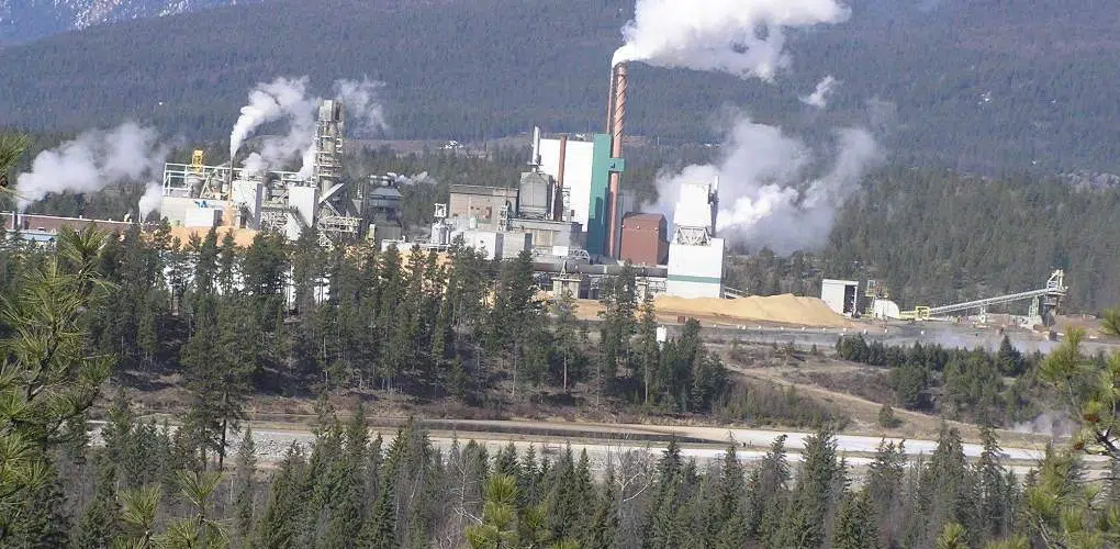 Paper Excellence releases 2022 sustainability report