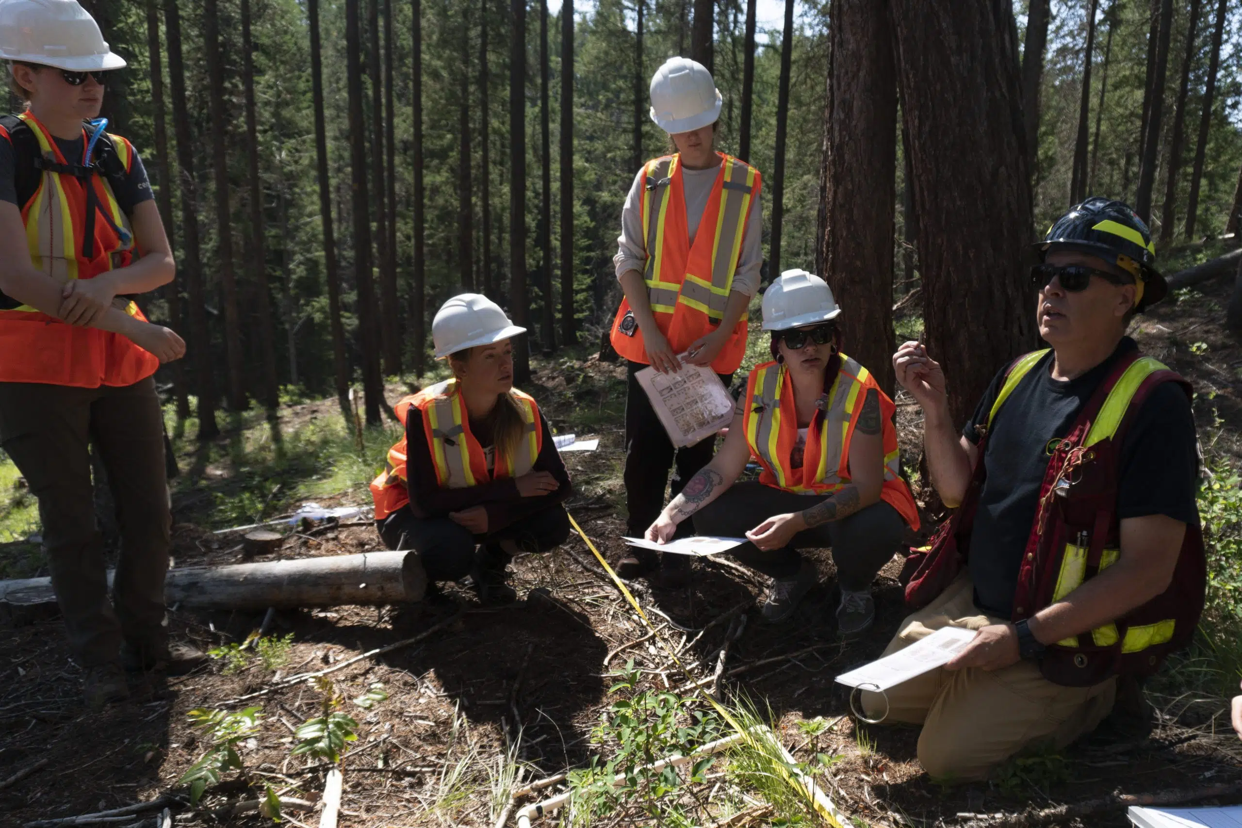 Wildsight's Youth Climate Corps complete study of wildfire mitigation impact