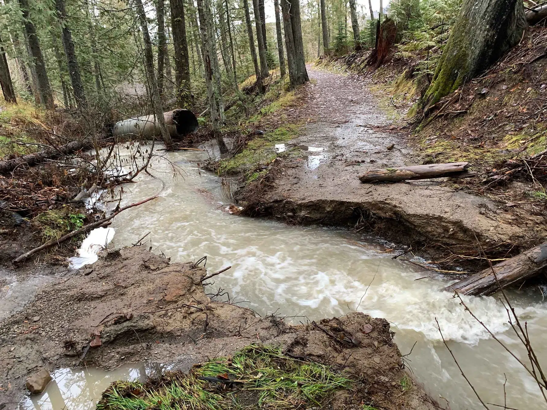 Roads, facilities remain closed as Fernie deals with aftermath of major storm