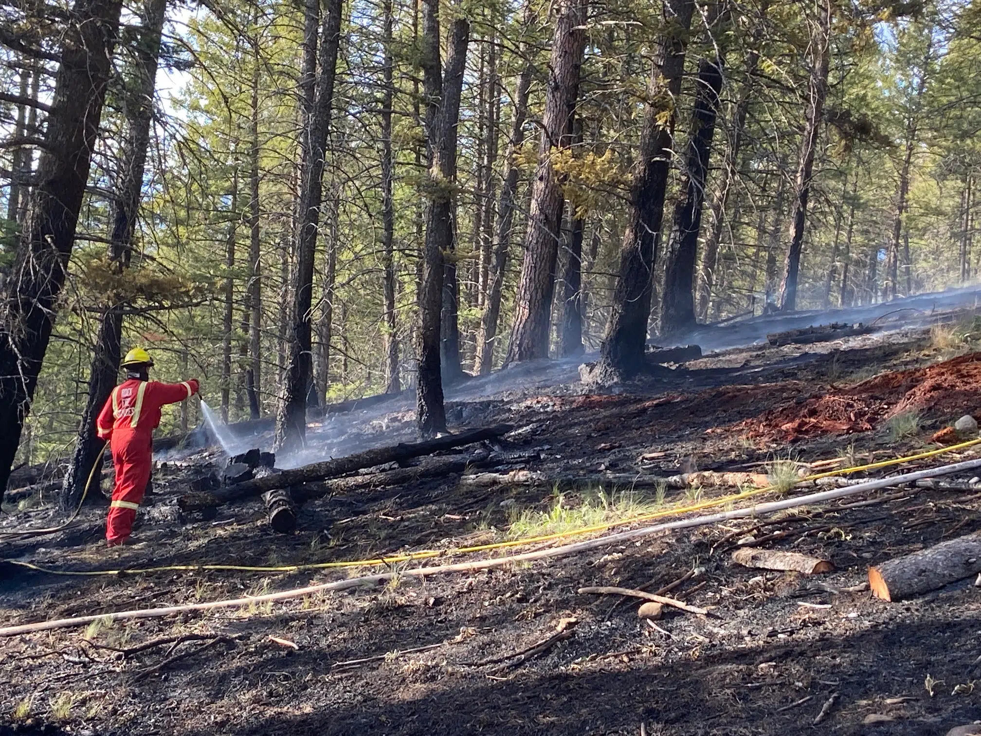 South Country Fire Department responds to one hectare fire in Baynes Lake