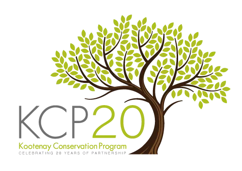 Kootenay Conservation Program accepting proposals for 2023 Columbia Valley Local Conservation Fund