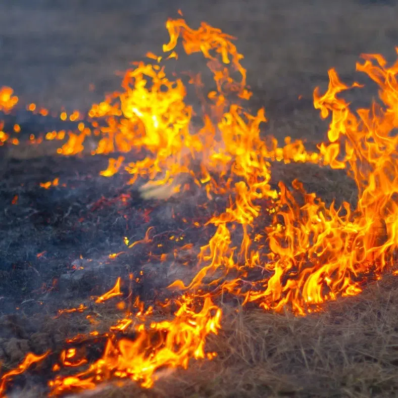 Prescribed burn Tuesday near Kimberley