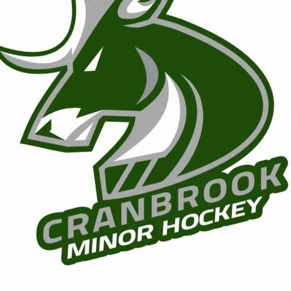 Local Minor Hockey Teams Shining at Provincials, U13 Females begin hosting championships Thursday