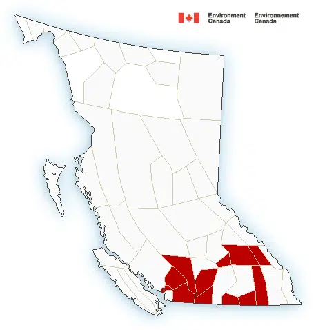 Snowfall warning issued for Kootenay Pass, up to 25 centimetres of snow expected