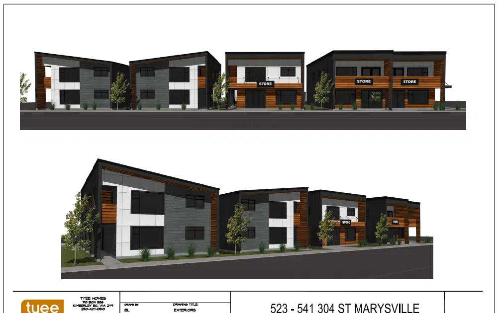 Zoning amendment paves way for new commercial/housing development in