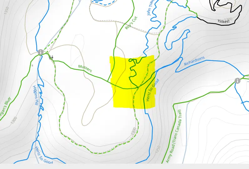 WildSafeBC warning Kimberley hikers following encounters with bluff charging black bear