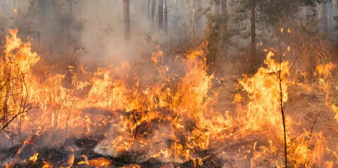 Sparwood Mayor urges residents to stay calm as Lladnar Creek wildfire prompts new evacuation alert