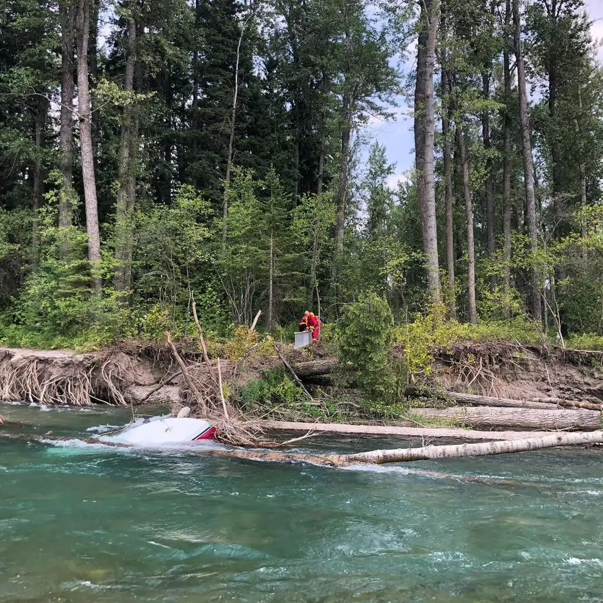 Fernie SAR rescues five people from logjam