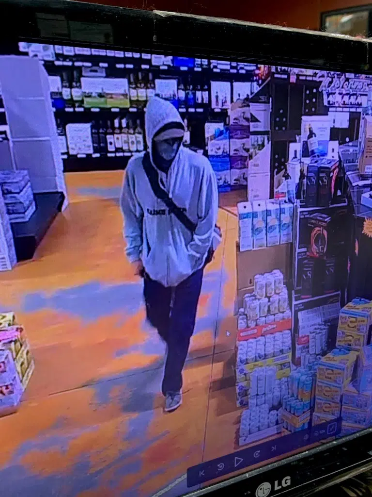 Cranbrook RCMP searching for suspect involved in robbery