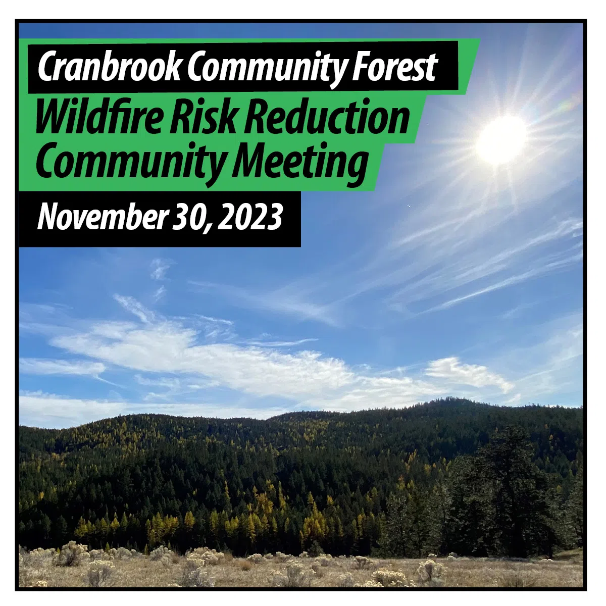 Ministry of Forests holding meeting on proposed wildfire mitigation for Cranbrook Community Forest