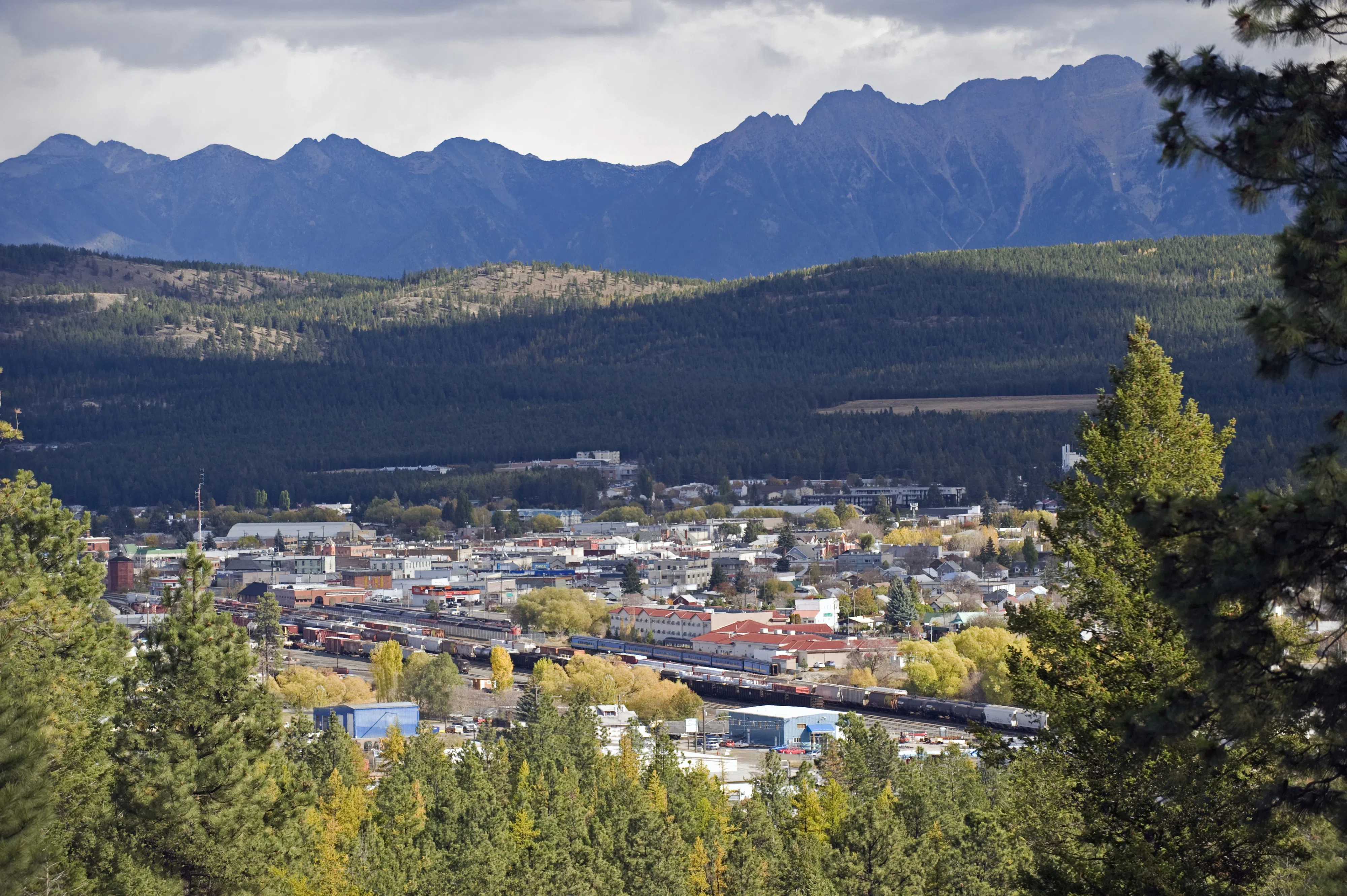 Cranbrook aerial spray delayed again