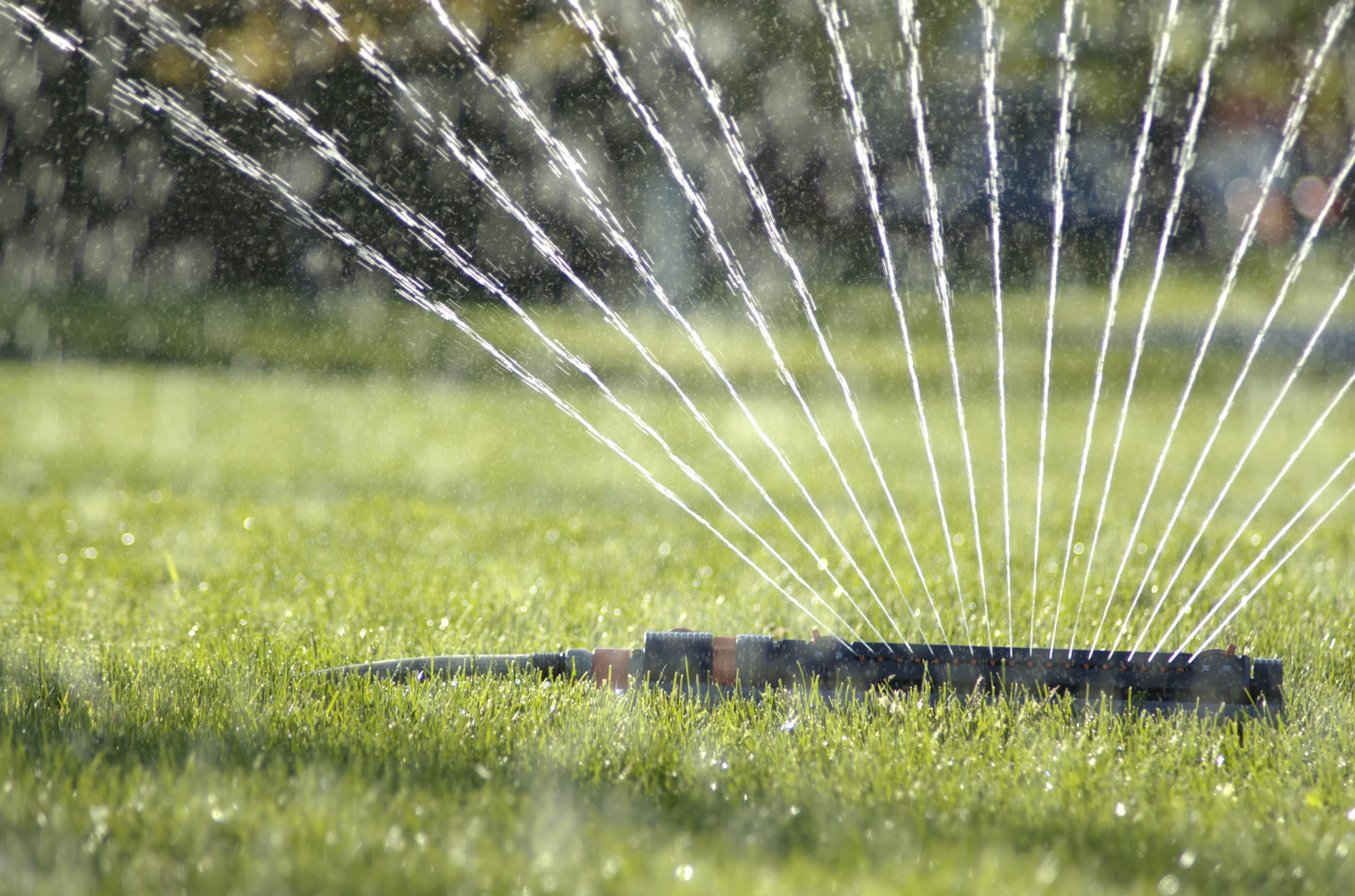Stage 2 watering restrictions remain in Cranbrook