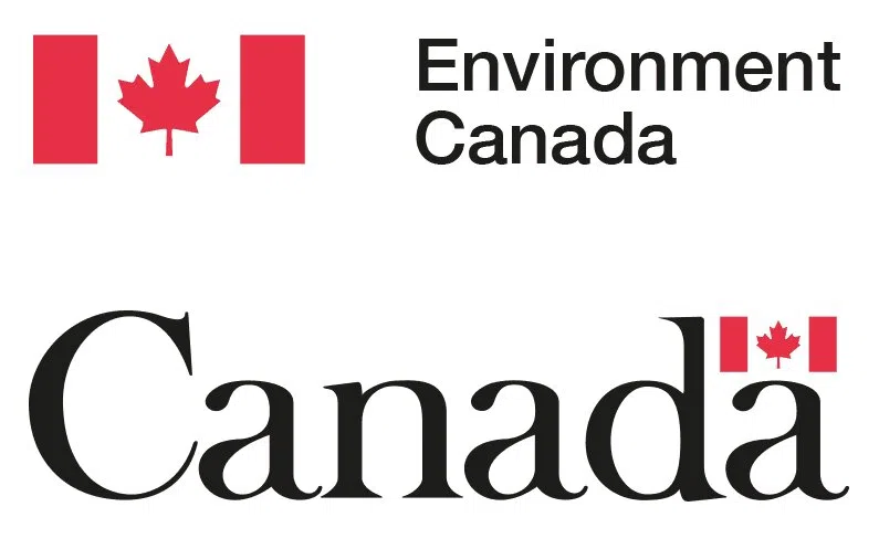 Environmental charges pending against Teck Coal