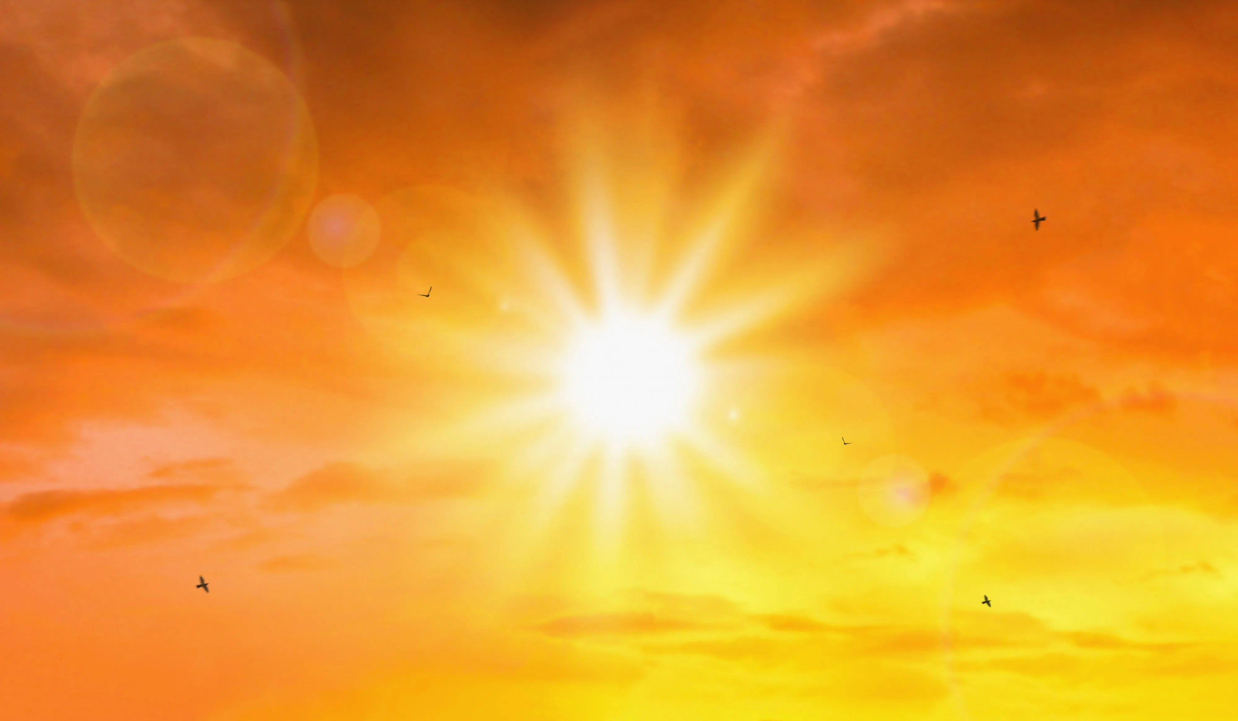 Record temperatures hit Sparwood and Cranbrook