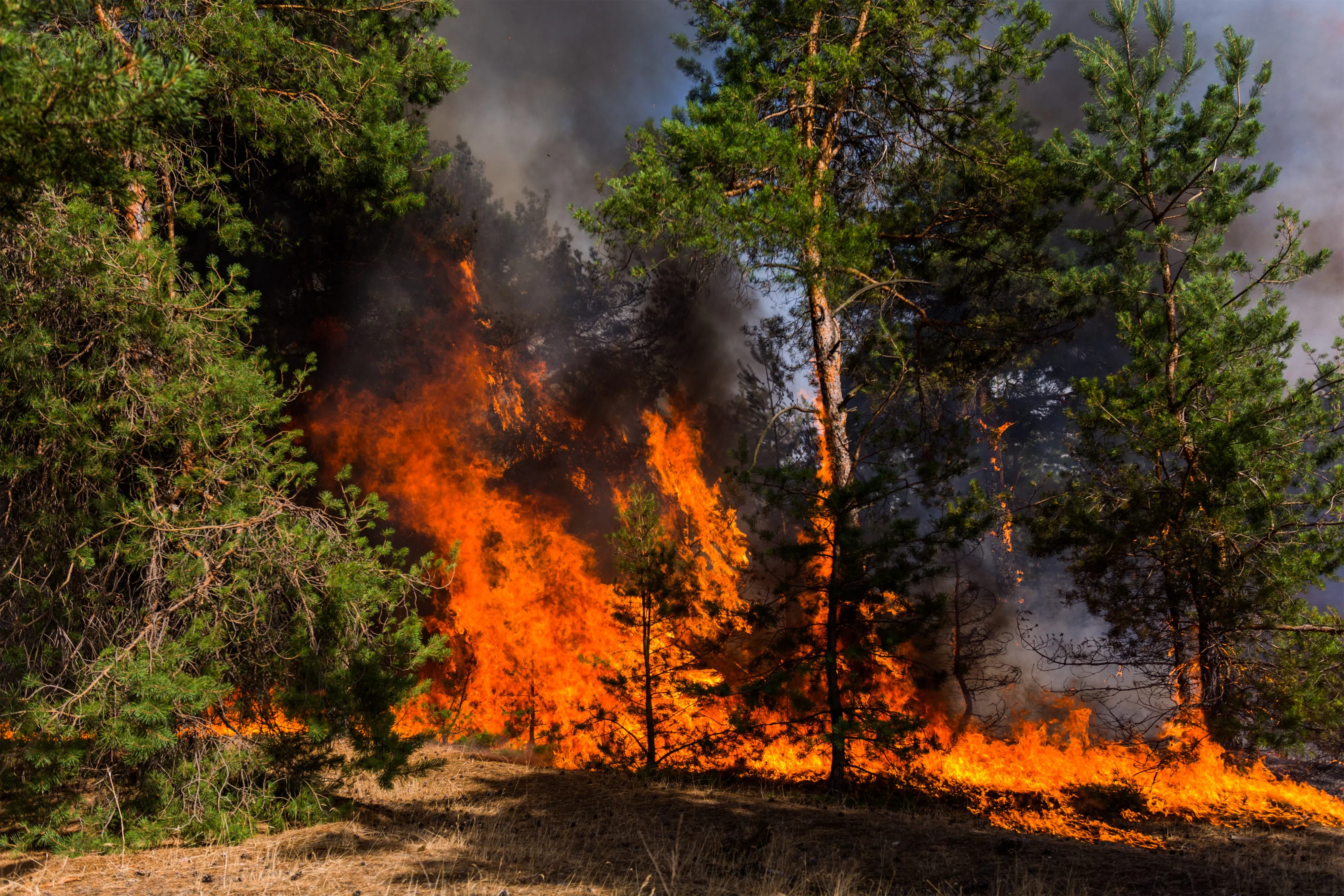 Wildfires & highway closures