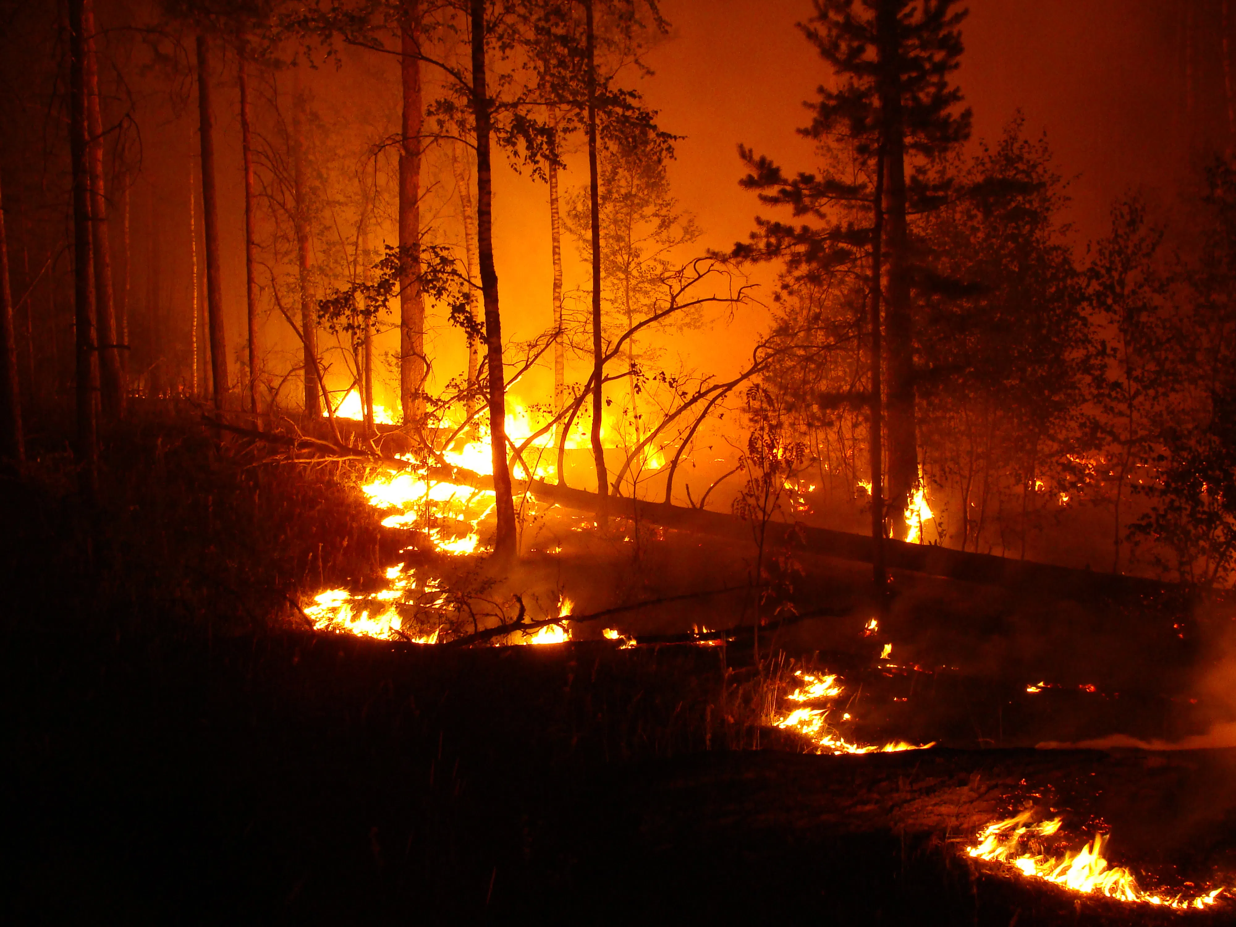 Firefighters contain wildfire near Cranbrook city limits