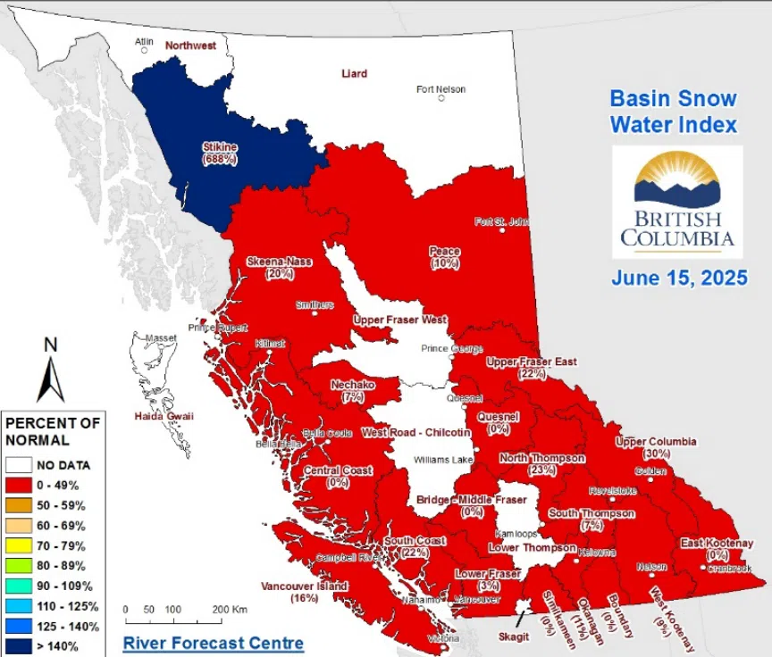 Low snowpack levels raise drought concerns in Kootenays, Columbia Valley