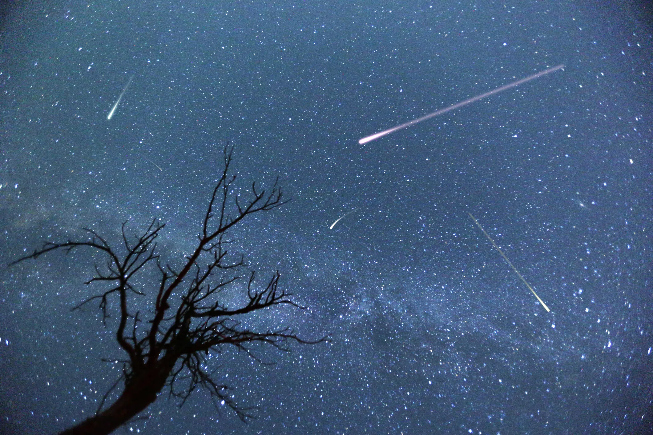 Meteor shower set to light up Cranbrook skies