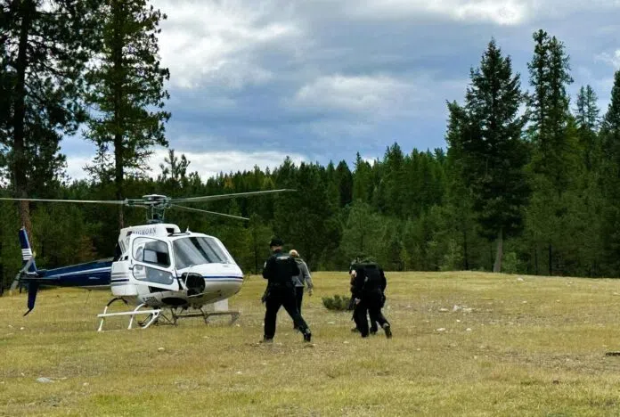DNA confirms grizzly bear from Fort Steele encounter is dead