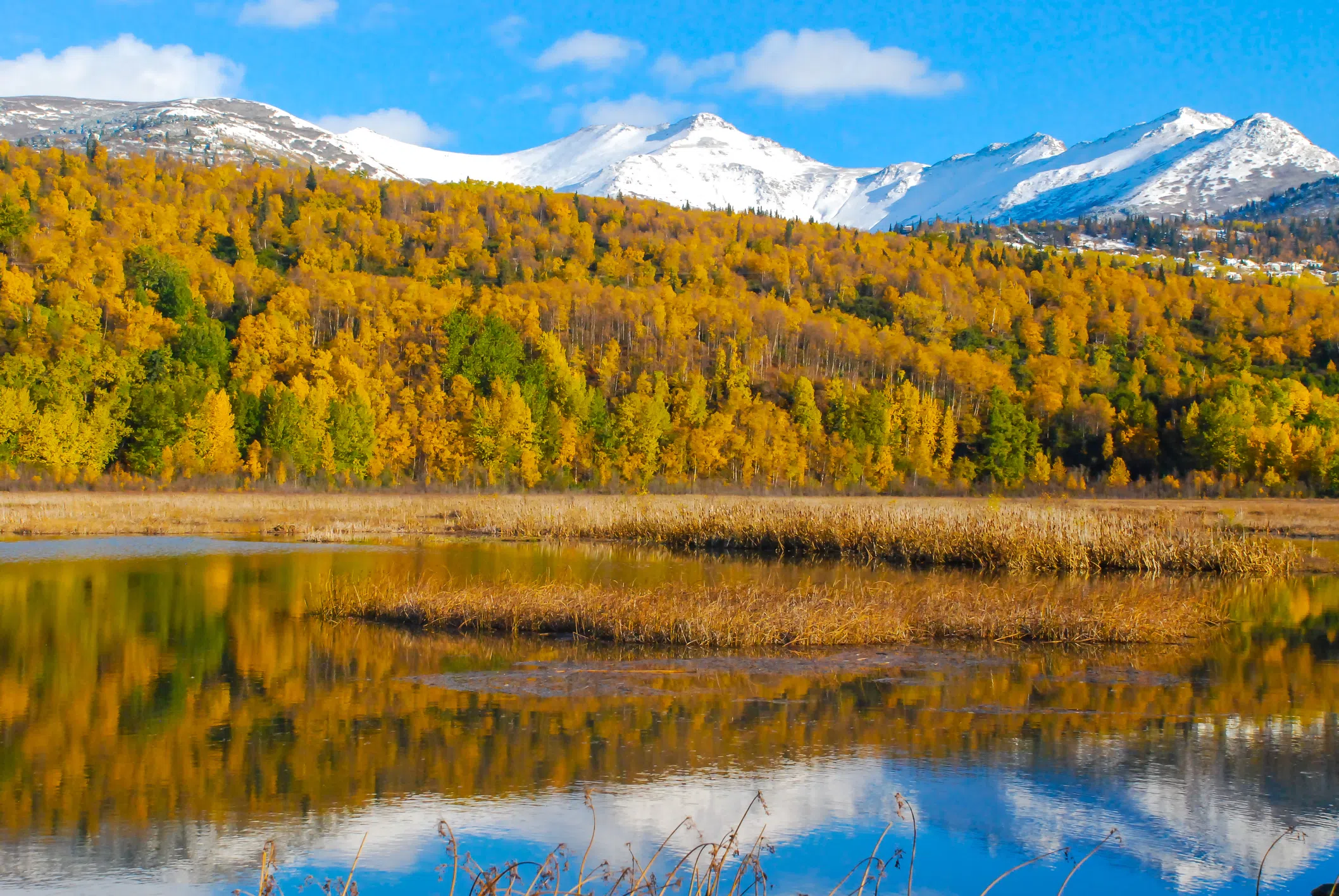 EVR completes $1.3M wetland restoration project near Jaffray, B.C