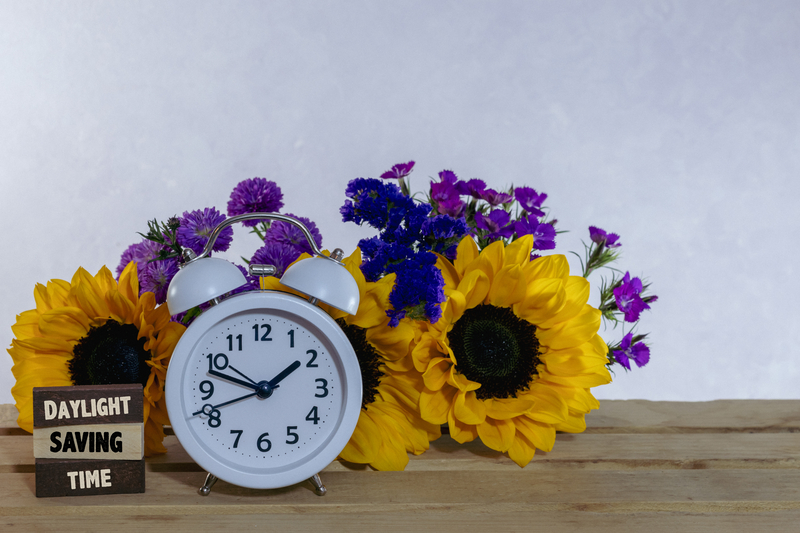 Clock's ticking: Have your say on Southeast BC's time zone