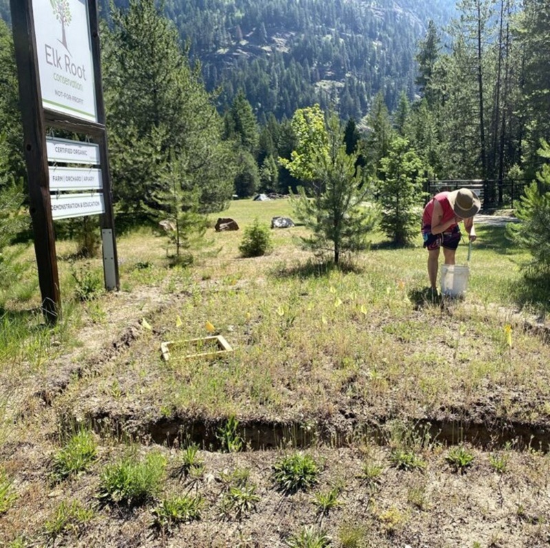 Applications open for the Columbia Valley Local Conservation Fund