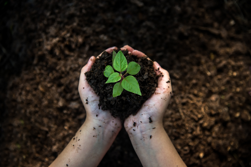 Farmers invited to put their soil under the microscope at hands-on field day