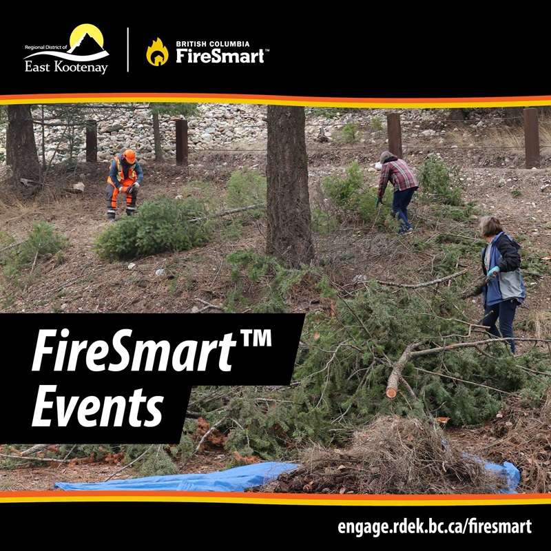 RDEK highlights fall FireSmart opportunities for residents