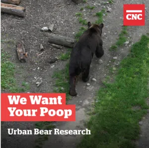 CNC Wants Your Photos of Bear Poop