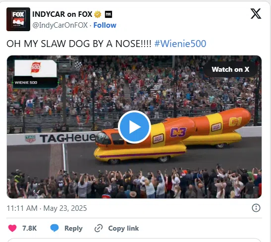 The Wienie 500