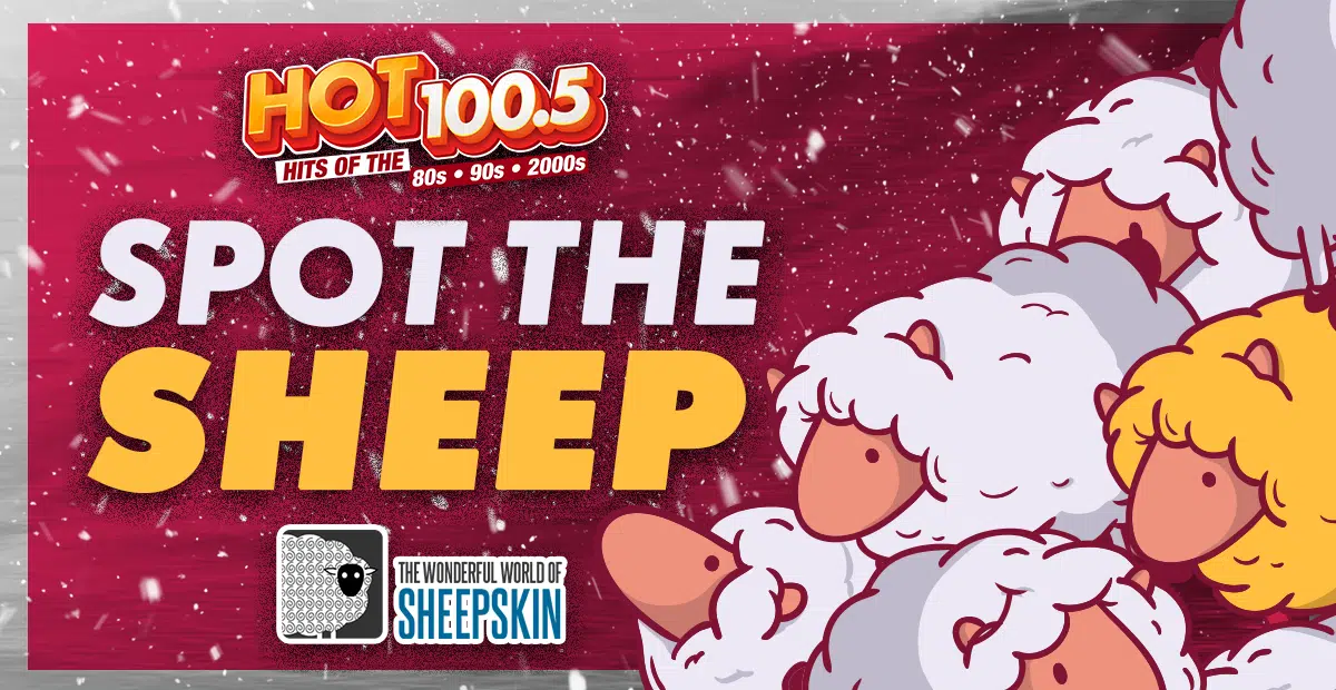 Spot the Sheep  HOT 100.5 - Hits of the 80s · 90s · 2000s