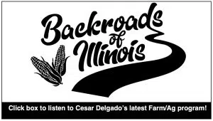 The Backroads of Illinois podcast with Cesar Delgado, black cursive writing with a while background, and a blue curved stripe like a road
