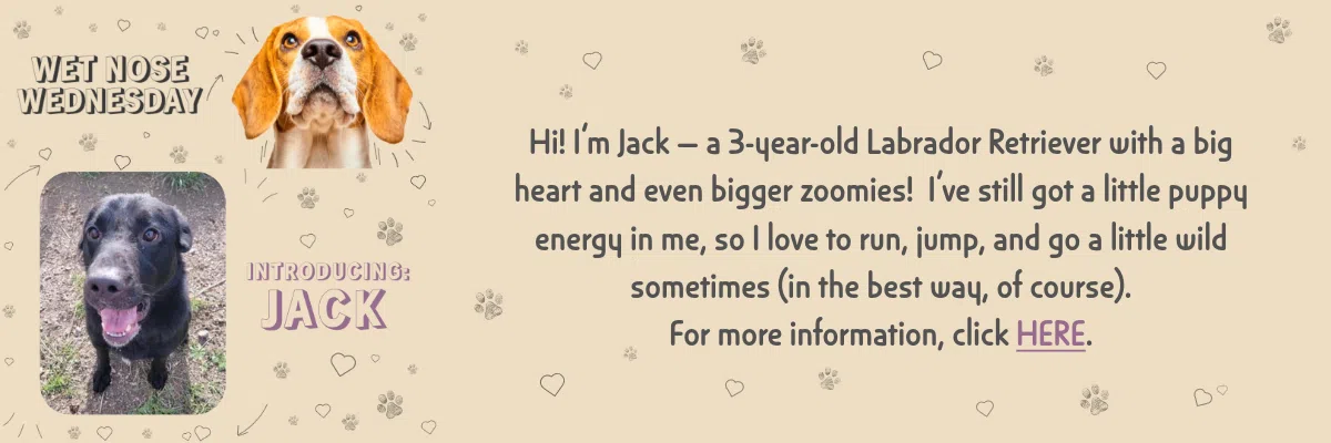 Feature: https://caspermas.org/