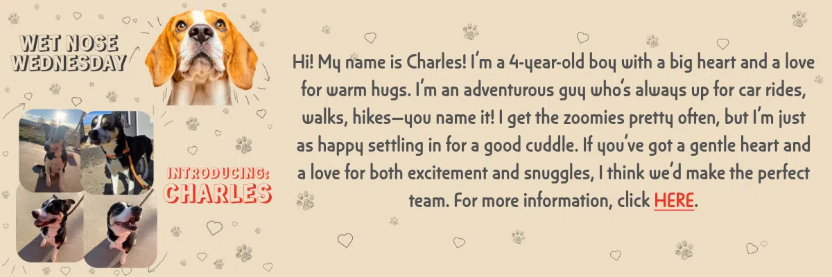 Feature: https://caspermas.org/