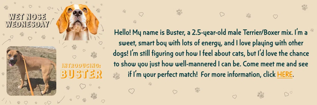 Feature: https://www.casperwy.gov/community/metro_animal_services/index.php